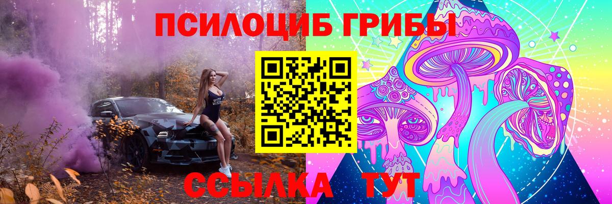 Галлюциногенные грибы Psilocybe  Вход с VPN  Бутурлиновка  Галлюциногенные грибы мицелий 